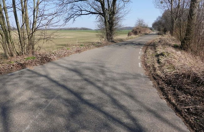 Holiday Home in Bemelen With Sauna - Photo 34