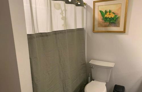 The Castle Hideaway Pool-16 plus-Guests-Game Room - Foto 16