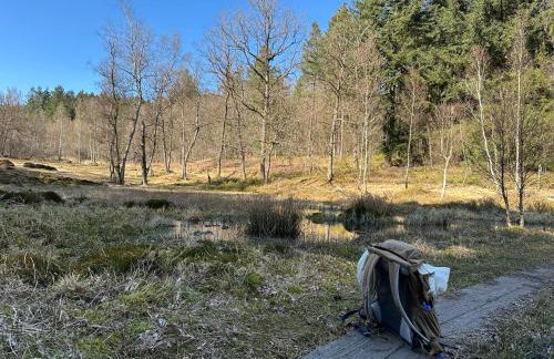 Architektenhaus Hello in Erbach mit High End Interieur zentral aber ruhig - Foto 42