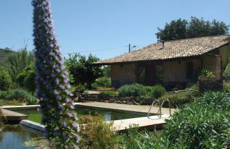 Quinta do Arade - casa 4 pétalas - Foto 34