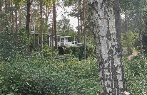 Sosnowy Azyl - Foto 79