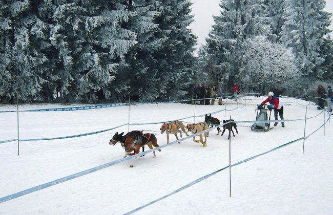 Apartment in Haidmuhle With Balcony or Terrace - Foto 24