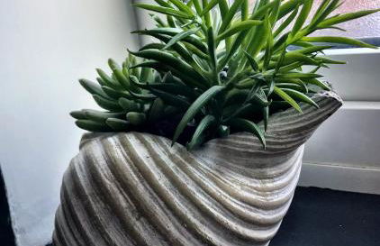 Fergies Canal Side Cottage - Foto 34