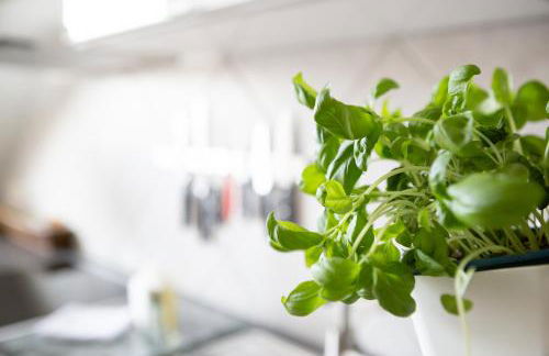 Wohnung mit Blick auf die Zitadelle Petersberg - 3 Zimmer - Foto 23