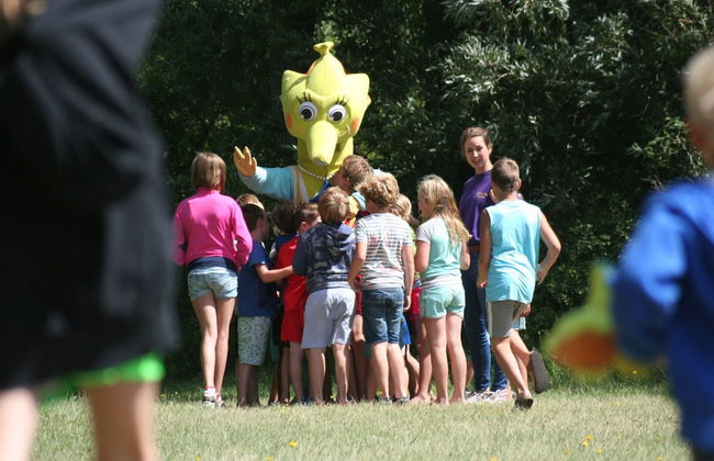 Villa in Zeeland With Private Terrace - Foto 19