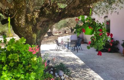 Cephalonian Countryside Villa - Foto 31