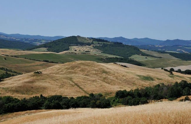 Agriturismo Mannaioni - Foto 28