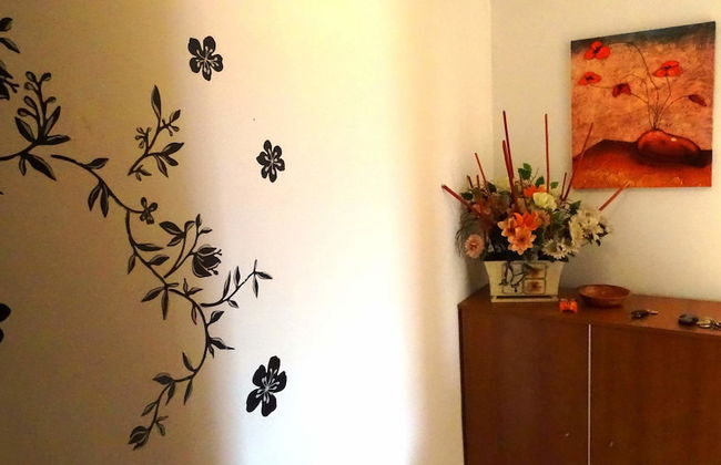 Esquirol Cambrils - Foto 16