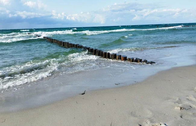 Apartment, Zingst - Foto 73