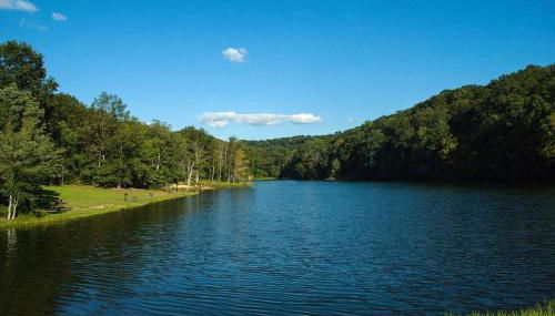 Buffalo Nickel - Foto 4