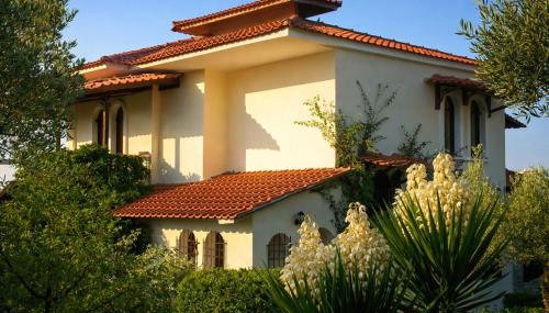 Blue Dandelion - Foto 2