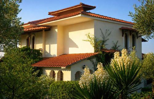 Blue Dandelion - Photo 2