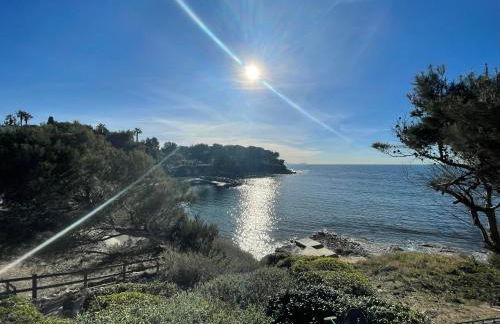 Appartement T2 piscine et plage - Foto 15