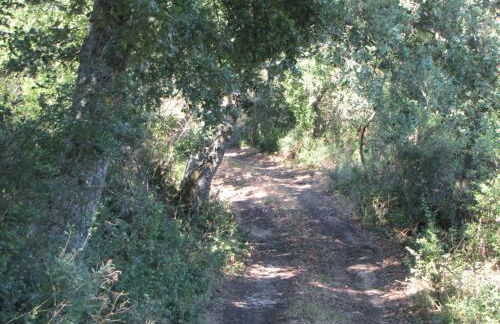 Agriturismo San Pietro - Foto 131