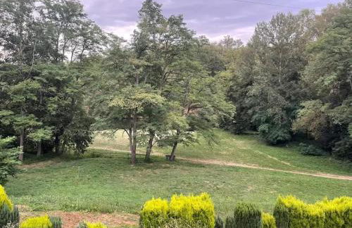 Maison familiale avec terrasse à Vieille-Brioude - Foto 41