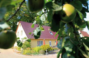 Schölzke‘s Ferienhaus - Photo 71