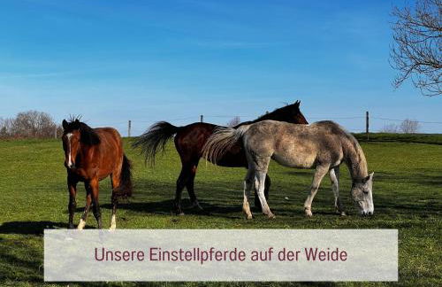 Designerwohnungen "Beim Schmied" in Chiemseenähe - Photo 36