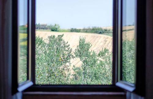 Agriturismo Tenuta Belvedere - Foto 15