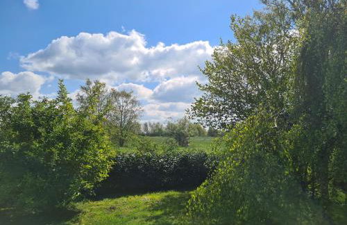 Haus Austernfischer - Foto 6