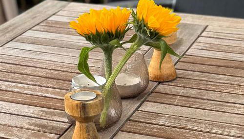 Ferienwohnung Silvaner in fränkischer Weinregion - Foto 5