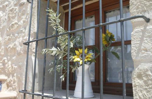 Hort de L'Aubert - Foto 43