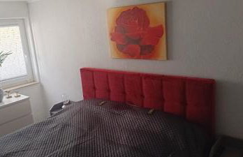 Casa Pura Vida - Photo 16