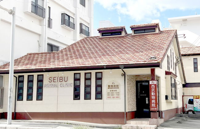 Coral Gate In Kume - Foto 27