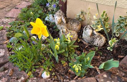 Panoramablick - Foto 20