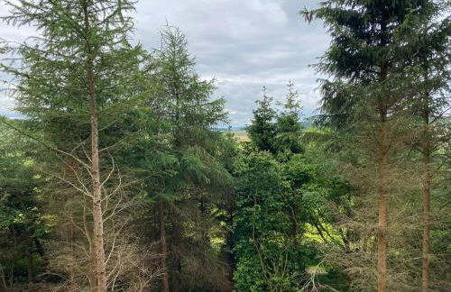 Conker Lodge with Hot Tub - Foto 22