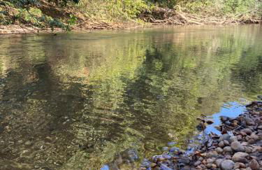 Sítio do Ziquinha - Photo 20