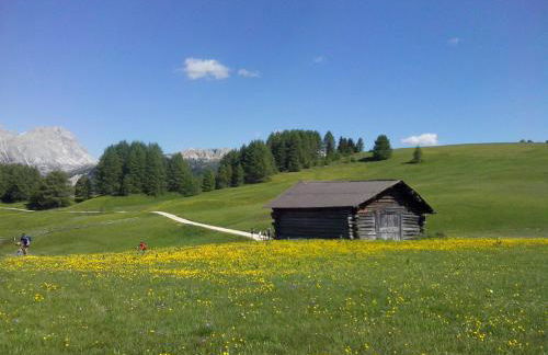 Ciasa Parom - Foto 16