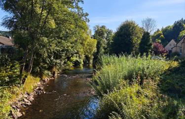 Ferienhaus Waldoase für 11 Personen und max 2 Hunde im Nationalpark Eifel in Top Lage - Foto 1