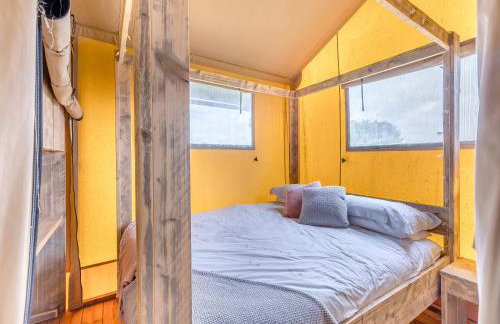 Muntjac - Uk47396 - Foto 10