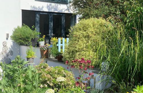 Oystercatcher, Pityme - Foto 11