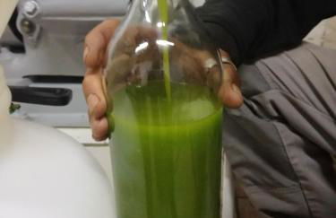 Agriturismo Montereggi - Foto 37