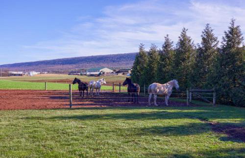 Mountain Sunrise Retreat - Foto 37