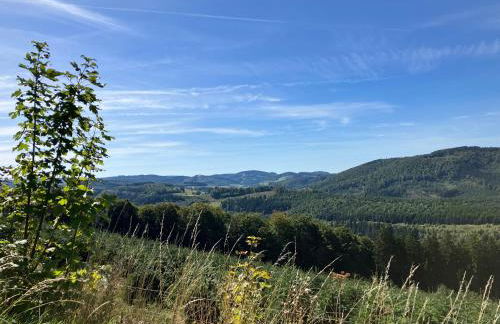 Vakantiehuis Ramsbeck - Foto 63