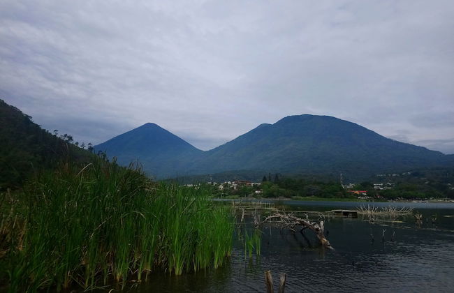 Pink house - Foto 22