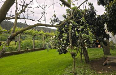 Casa de Chica Ecoturismo - Foto 12