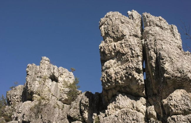 Ferienwohnung im Bayerischen Wald mit Terrasse - Photo 35