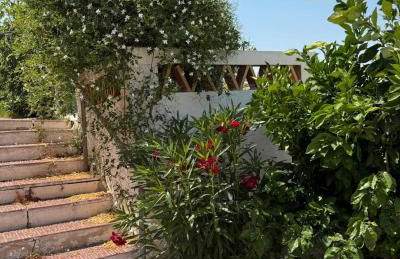 Antique Spanish Villa With A Patio - Foto 23