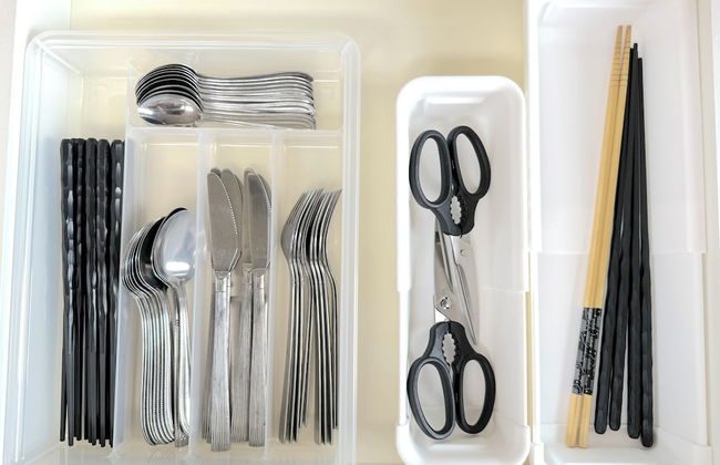 ANGO ISHIGAKIJIMA1 - Foto 28