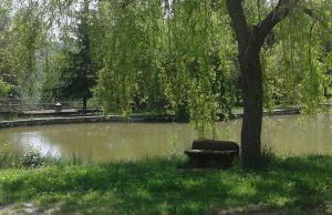 Agriturismo Nonni Devia - Foto 9