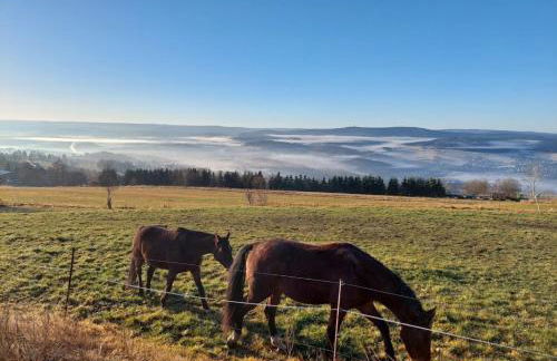 Ferienwohnung am Balkon des Erzgebirges - Bernsbach - Foto 27