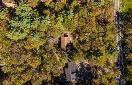 Serenity Grove Game Room Fire Pit Dog Friend - Foto 34