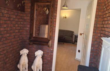 Biały Domek dla 6 osób oraz Domek Sternika dla 4 osób - jezioro, las, wiejski klimat - Foto 43