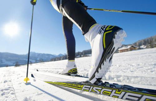 Biosphärenzimmer Bad Urach - Photo 13