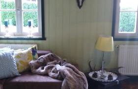 Alpchalet Oberstdorf - Photo 40