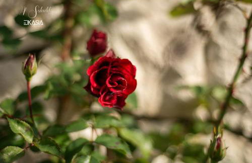 Al Soladif - Mansarda con vista - Foto 38