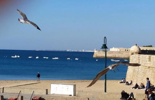 Atico Soleado - Foto 46